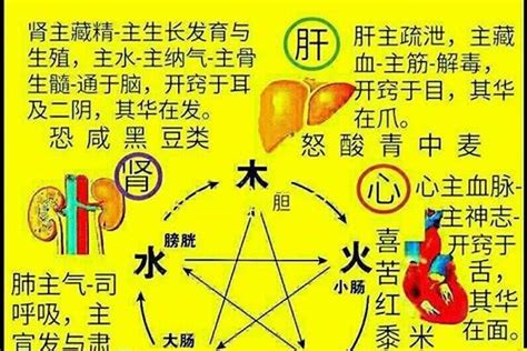 属火的字|五行属火最吉利的字